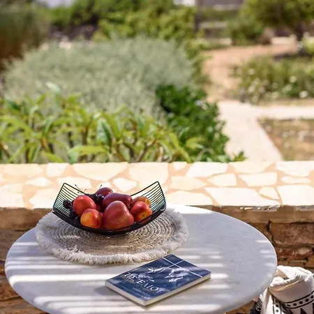 Luxury Vila Andiparos