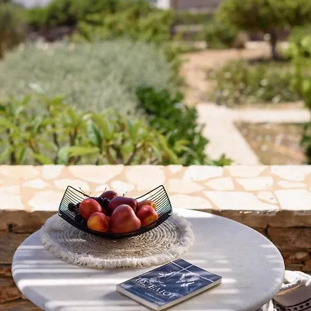 Vila Luxury Andiparos